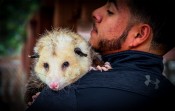 Man’s Best Friend, An Opossum 