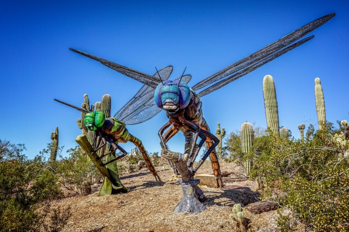 Really Big Bugs in the Desert