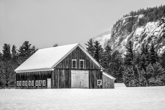 A Refuge In Winter