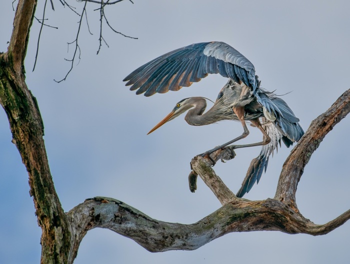 Sticking the landing