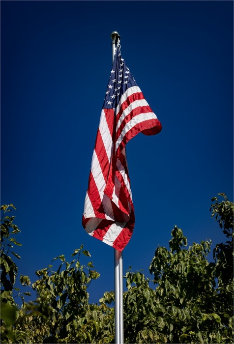 Looking up to Our Flag