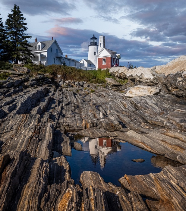 Reflection Puddle