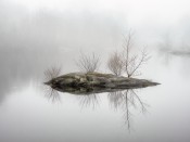 Wil Elliott - Reflections in Fog