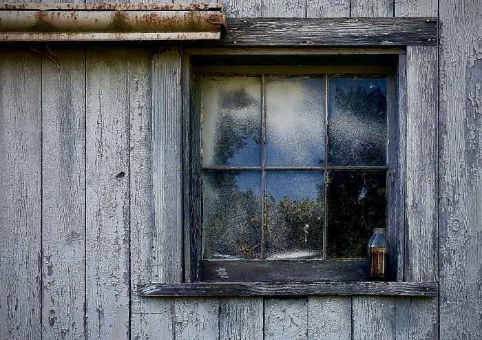Darcey O'Donoghue, Barn Window