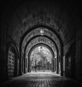 Under the Arches At Yale