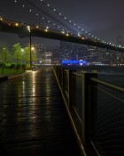 Rainy Night in the City