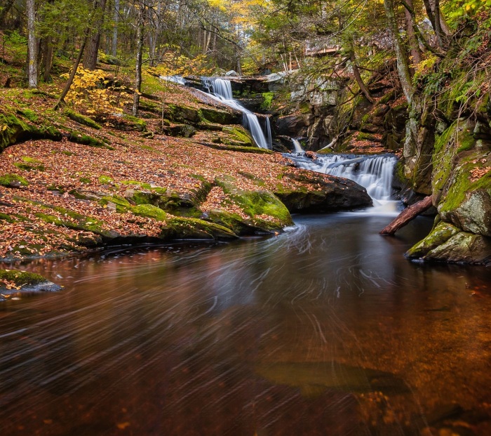 Autumn Rush At Enders Falls