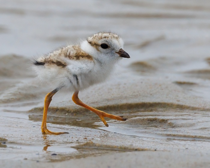 Mom says I've got great legs!