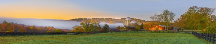 Early morning rolling fog on the farm