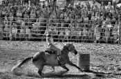 A day at the rodeo