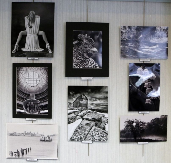 2015-Annual-Show_PRINT_Info-_Exhibit-Walls1-807x768