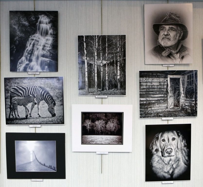 2015-Annual-Show_PRINT_Info-_Exhibit-Walls3-835x768