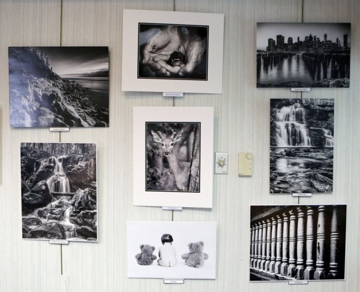 2015-Annual-Show_PRINT_Info-_Exhibit-Walls4-946x768