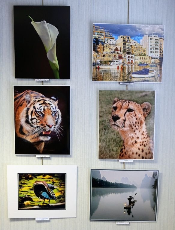 2015-Annual-Show_PRINT_Info-_Exhibit-Walls6-583x768