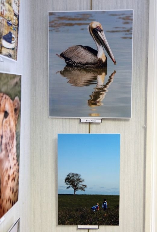 2015-Annual-Show_PRINT_Info-_Exhibit-Walls7-521x768