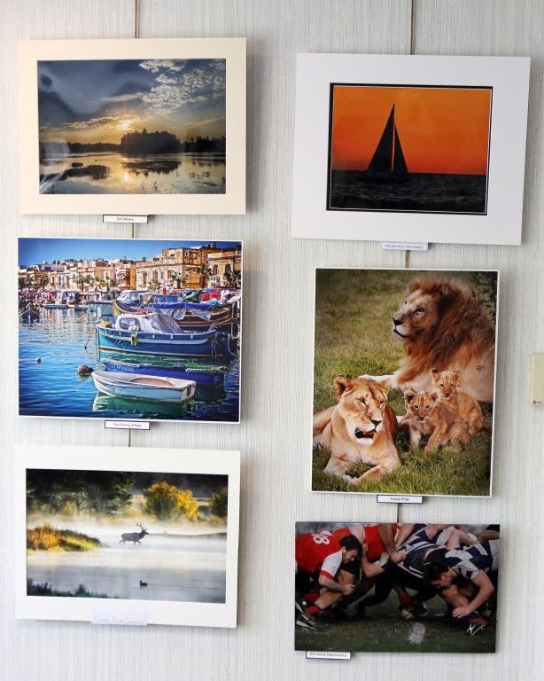 2015-Annual-Show_PRINT_Info-_Exhibit-Walls9-614x768