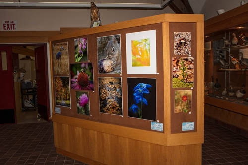 20170725 123748 5DS-1 adj