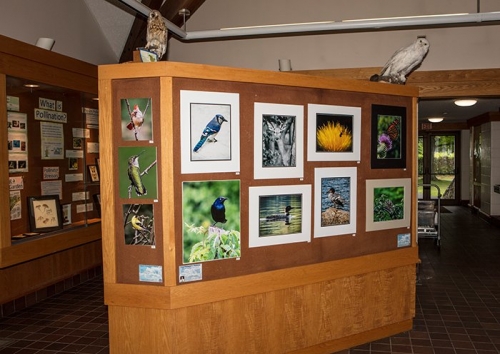 20170725 123801 5DS-1 adj