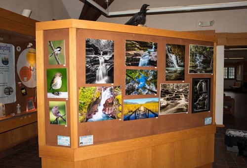 20170725 123816 5DS-1 adj