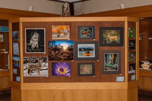 20170725 123845 5DS-1 adj