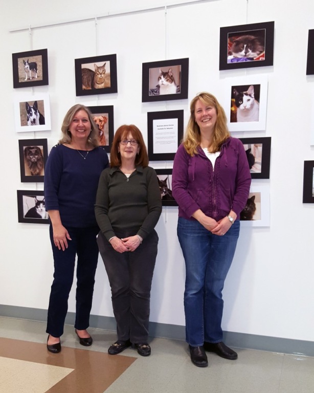 Photo Display Aims at Finding Homes for Shelter Animals
