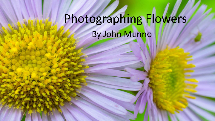 Photographing Flowers by John Munno