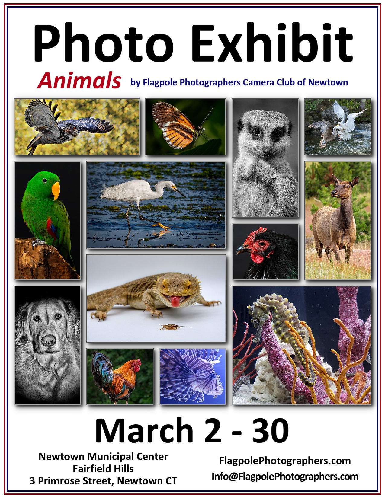 Animals Photo Exhibit