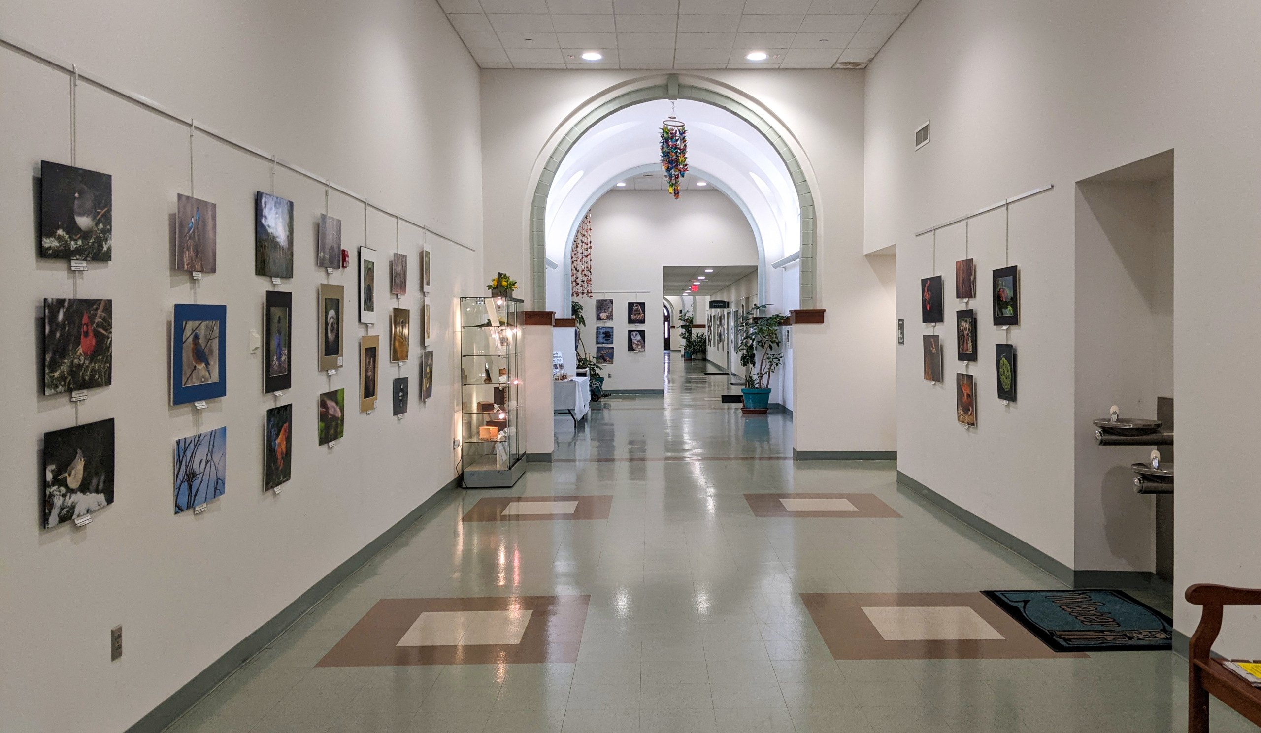 Flagpole Photographers Animals Photo Exhibit at Newtown Municipal Center