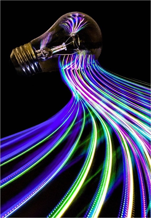 2025 November Competition Results, All Photos & Video