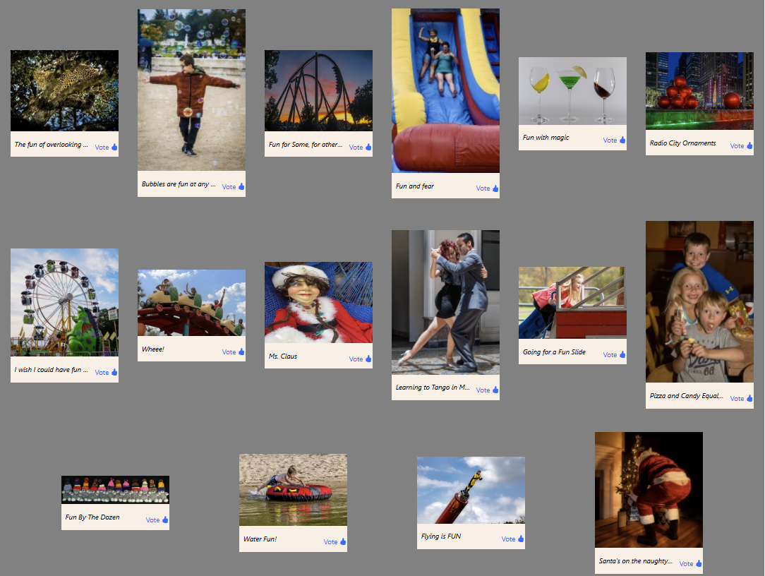 Holiday Party “Fun” People’s Choice Voting
