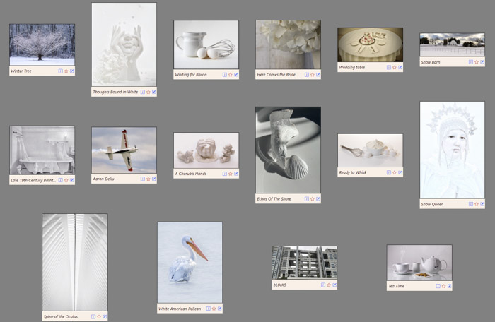 2026 January Competition Results, All Photos & Video