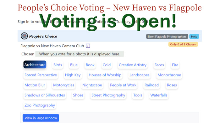 People’s Choice Voting – New Haven vs Flagpole