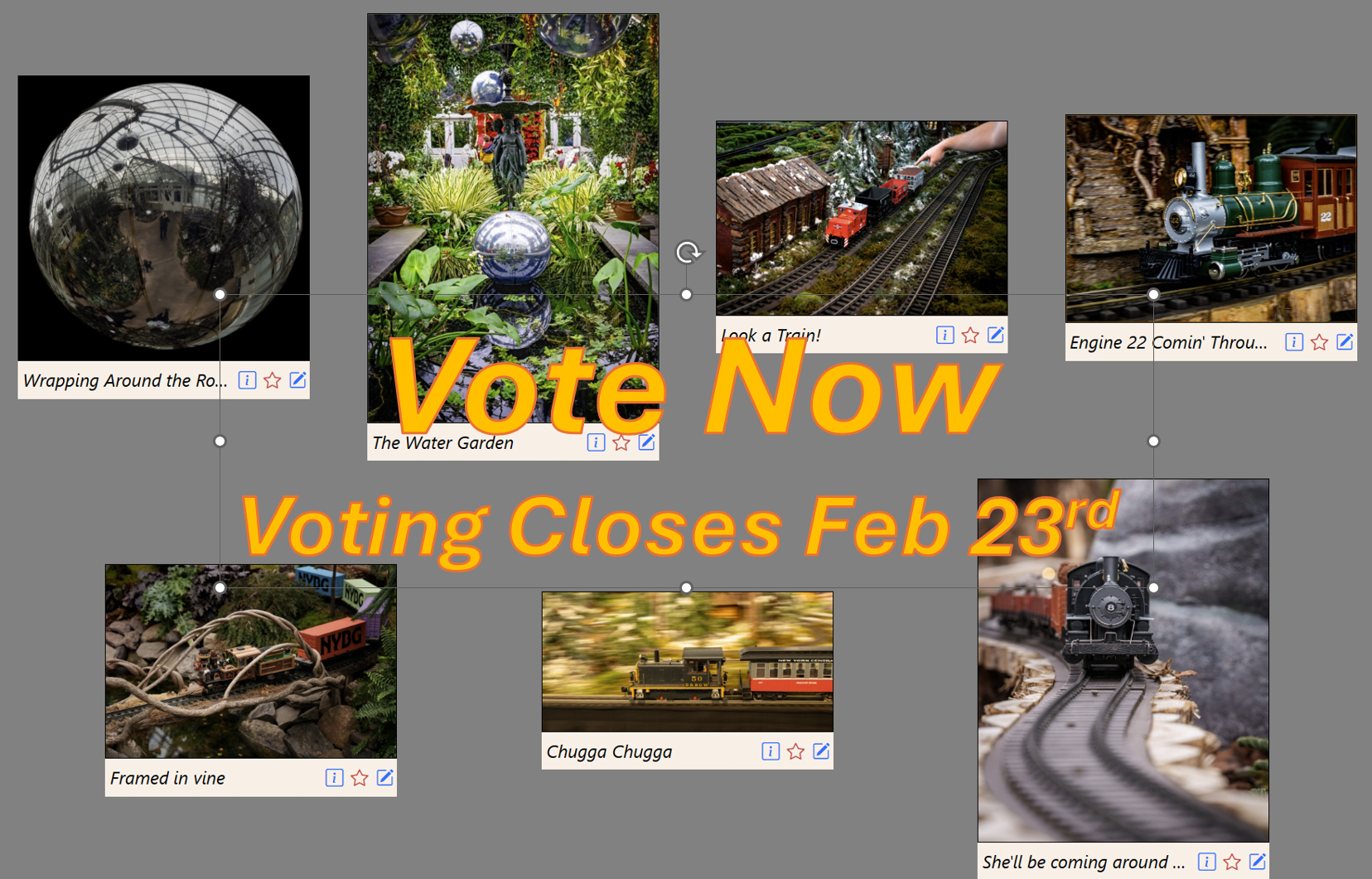 New York Botanical Garden Photo Challenge Voting