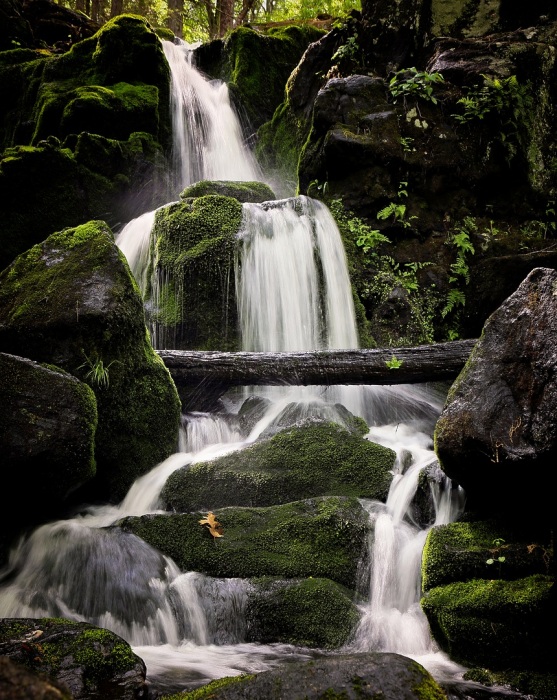 Photo Opportunities for May 2026