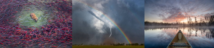 NECCC Virtual Photography Conference – October 3, 2026