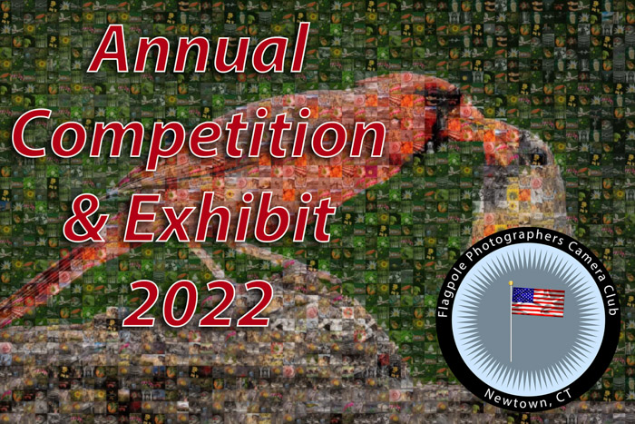 2022 Flagpole Photographers Annual Competition & Exhibit Info