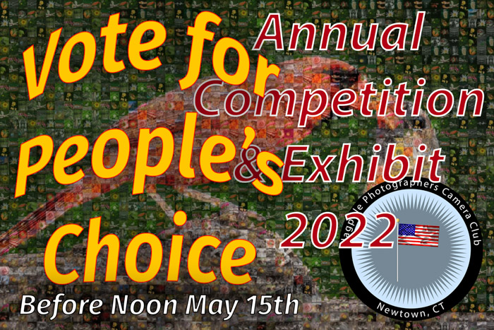 Vote for Annual Show People’s Choice