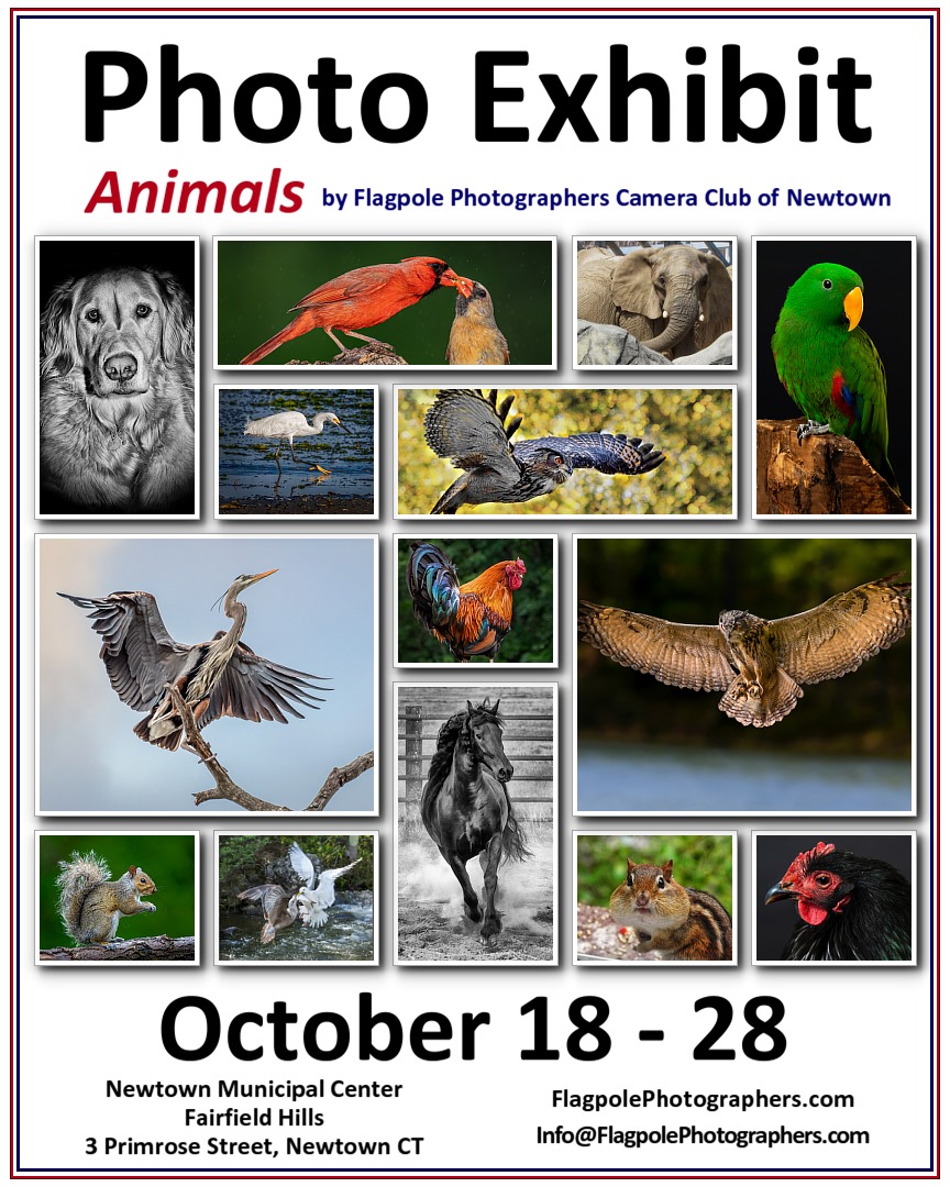 2021 Animals Photo Exhibit