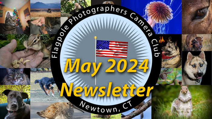 Flagpole Photographers Newsletter – May 2024