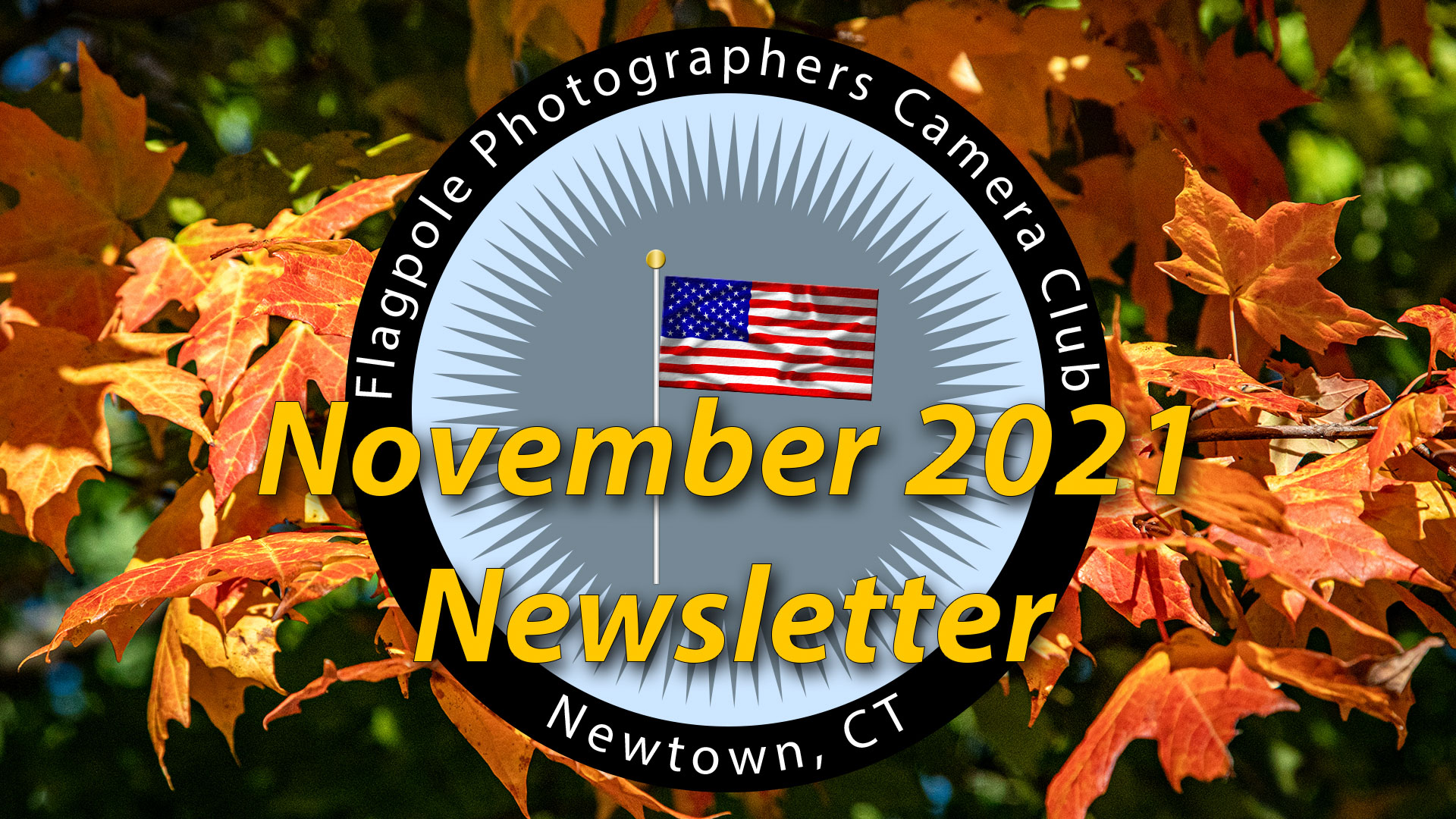 Flagpole Photographers November 2021 Newsletter