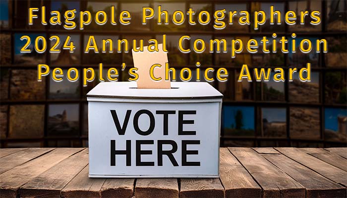 2024 Annual Competition People’s Choice Award