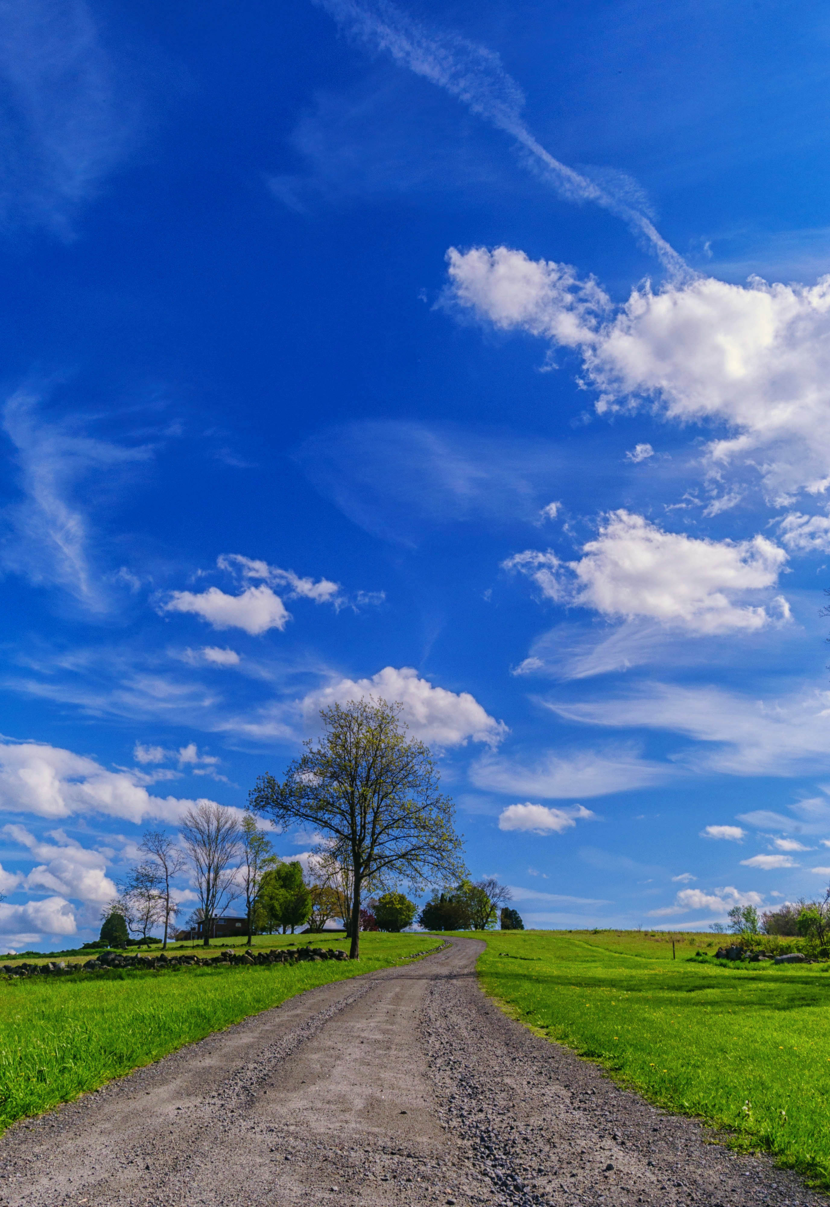 2017 May Competition Results